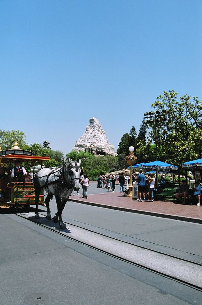 Click to see next picture