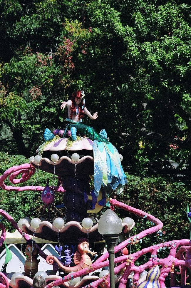 Click to see next picture