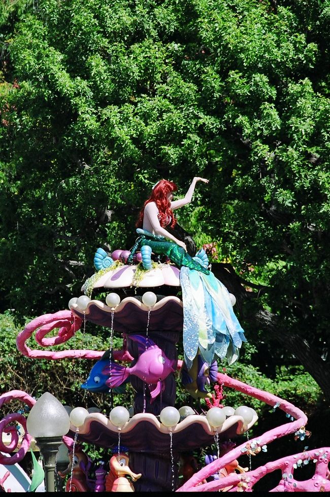 Click to see next picture