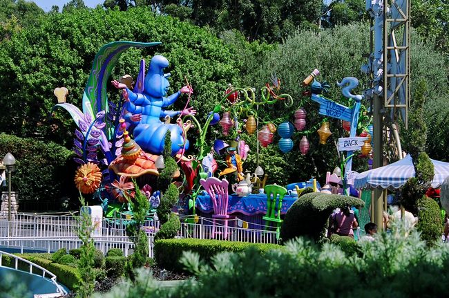 Click to see next picture