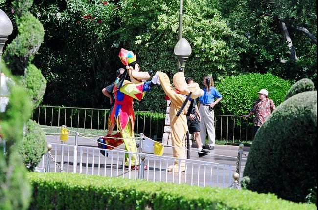 Click to see next picture