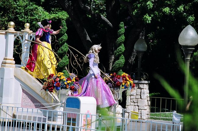 Click to see next picture