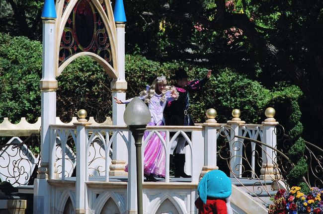 Click to see next picture