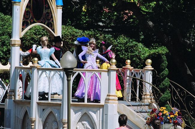 Click to see next picture