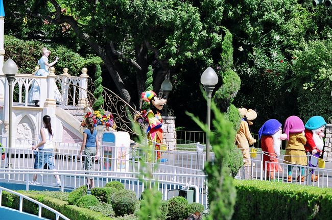 Click to see next picture